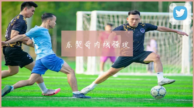东契奇内线强攻
