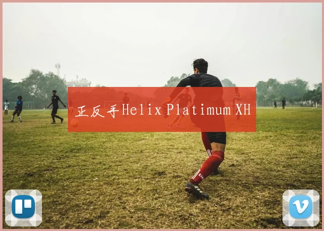正反手Helix Platimum XH