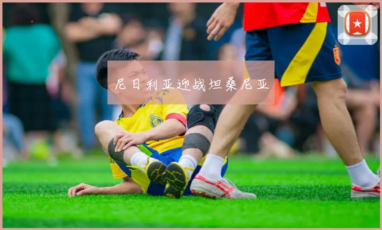 尼日利亚迎战坦桑尼亚