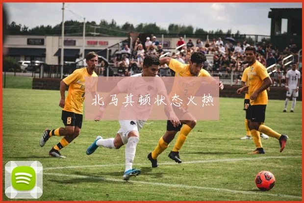 北马其顿状态火热