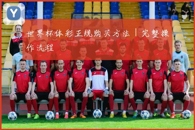 世界杯体彩正规购买方法｜完整操作流程