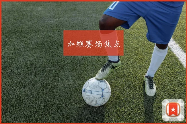 加维赛场焦点