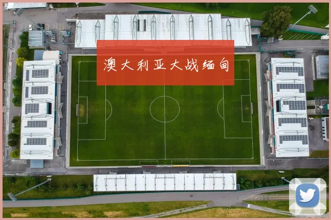 澳大利亚大战缅甸