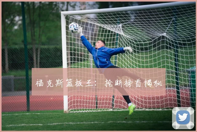 福克斯篮板王：抢断榜首揭秘