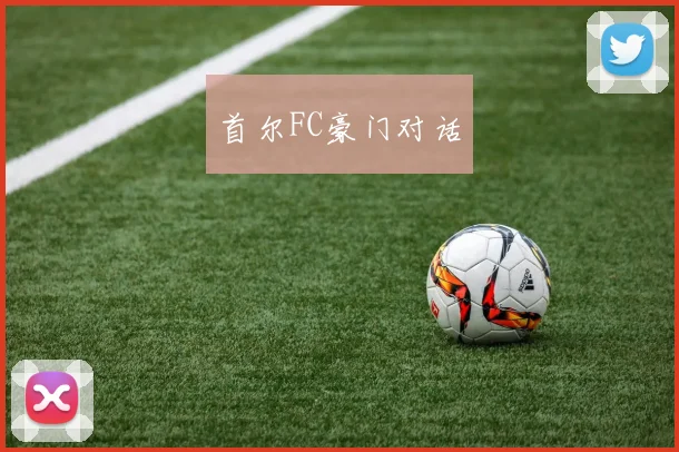 首尔FC豪门对话