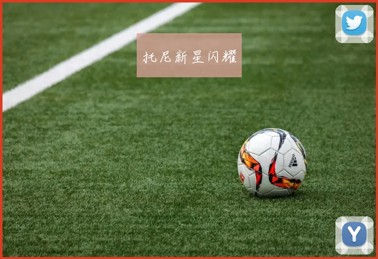 托尼新星闪耀