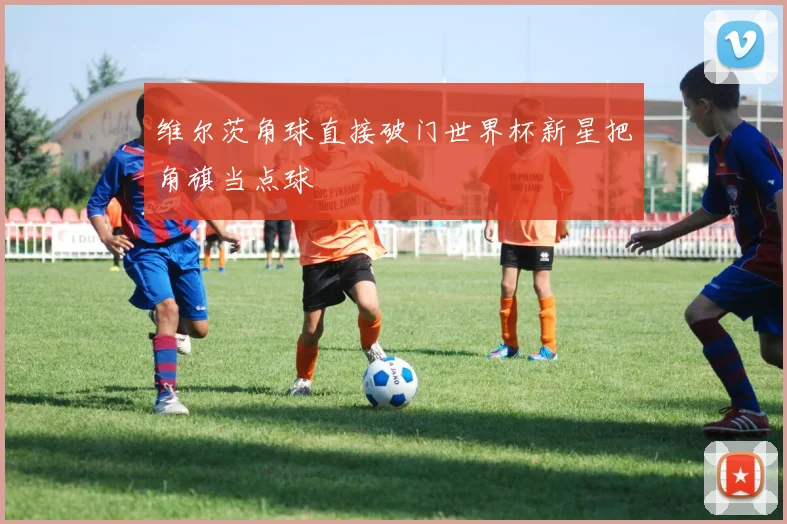 维尔茨角球直接破门世界杯新星把角旗当点球