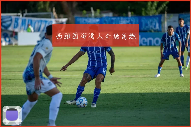 西雅图海湾人全场高燃