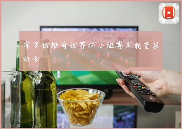 布罗佐维奇世界杯小组赛末轮首发机会