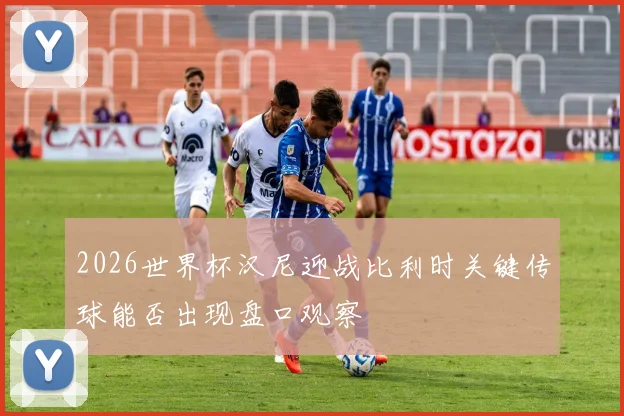2026世界杯汉尼迎战比利时关键传球能否出现盘口观察