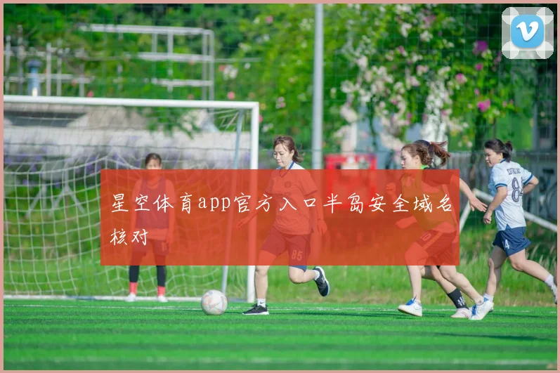 星空体育app官方入口半岛安全域名核对