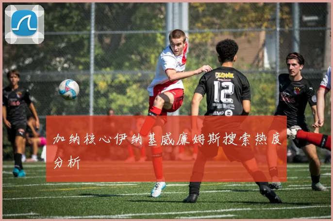 加纳核心伊纳基威廉姆斯搜索热度分析