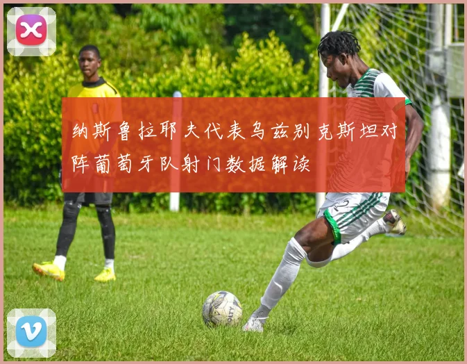 纳斯鲁拉耶夫代表乌兹别克斯坦对阵葡萄牙队射门数据解读