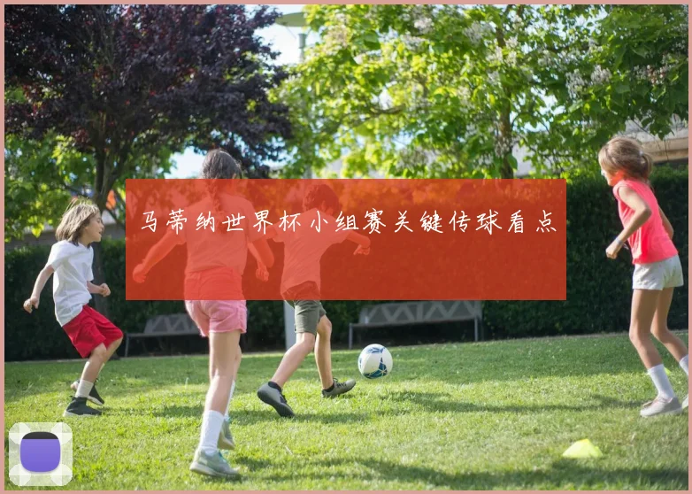 马蒂纳世界杯小组赛关键传球看点